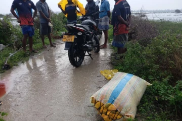 யாழில் ஈவிரக்கமின்றி கன்றுத்தாச்சி மாட்டை அறுத்த கயவர்கள்!