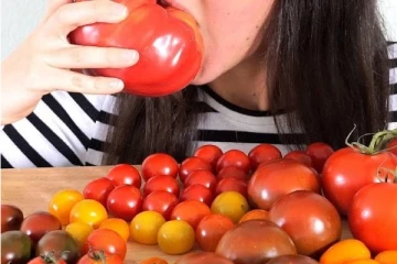 தக்காளியில் உள்ள தீமைகள்! இவர்கள் மட்டும் உணவில் சேர்க்கவே கூடாது உஷார்