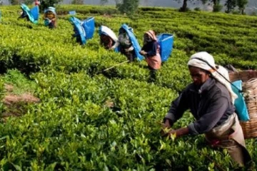 மாறாத பெண் மனித வதைகள்: விடியலை நோக்கி ஒரு சமூகத்தின் பயணம்!