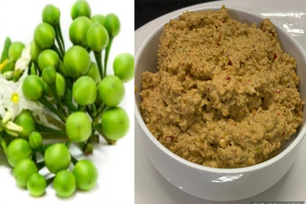 இரும்புச்சத்தை அள்ளித்தரும் சுண்டைக்காய் துவையல்... கட்டாயம் எடுத்துக்கோங்க | High Iron Content Sundakkai Dthuvaiyal