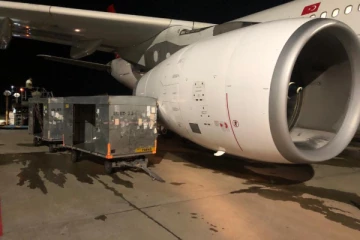 කටුනායකදී ගුවන් යානයක් අනතුරට ලක්වෙයි..(PHOTOS)