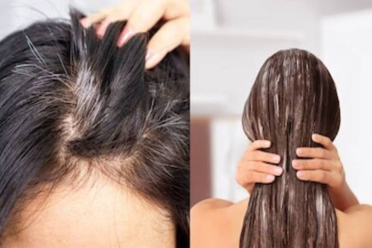 நரைமுடியை கருப்பாக மாற்ற... ஷாம்பூவில் இந்த 2 பொருள் கலந்து குளிங்க | Shampoo Mix Coffee Coconut Oil White Hair Black