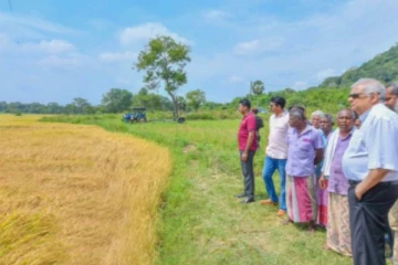 සියලු වගා ණය කපාහැරීමට රජය හදිසියේම තීරණය කරයි..