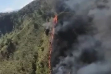 தலபத் கந்த வனப்பகுதியில் தீ விபத்து ; பல ஏக்கர் நாசம்