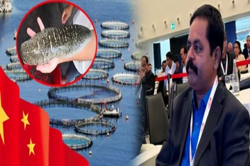 வடக்கு கடற்பரப்பை ஆக்கிரமிக்கும் சீனா: சுவிட்சர்லாந்தில் சிறீதரன் சுட்டிக்காட்டு