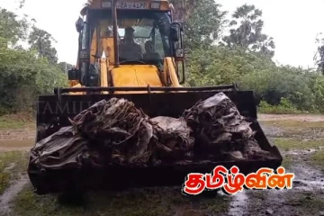 மூதூரில் 1,500 கிலோகிராம் அழுகிய மீன்கள் மீட்பு- தீவிரப்படுத்தப்படும் விசாரணை