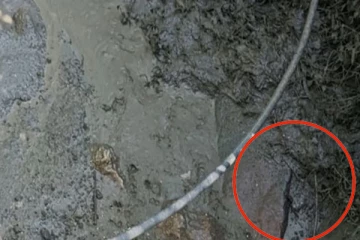 மண்சரிவு அபாயம்: எல்ல பகுதியிலிருந்து வெளியேற்றப்பட்ட குடும்பங்கள்