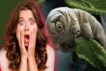 உணவு, நீர் இல்லாமல் 30 ஆண்டுகள் உயிர் வாழும் உயிரினம்! இதை கொல்லவே முடியாதா?