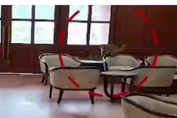 மீண்டும் சர்ச்சையில் சிக்கிய புதிய நாடாளுமன்றம் - கலக்கத்தில் மத்திய அரசு!