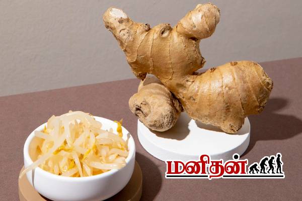உடல் எடையை 2 வாரத்திலேயே குறைக்க, ஒரு துண்டு இஞ்சியை இப்படி பயன்படுத்துங்க...! | Benefits Of Ginger In Weight Loss And How