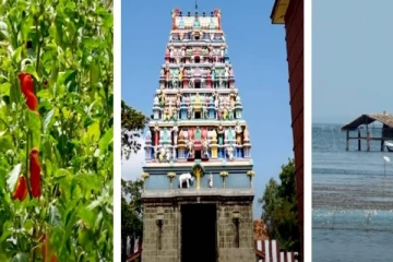 யாழில் முன்னர் சொர்க்க தீவான அழகிய தீவின் இன்றைய நிலை!