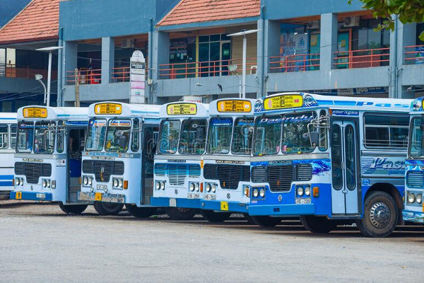இடை  நிறுத்தப்பட்ட 800 பஸ்கள் மீண்டும் சேவையில் இணைப்பு | Interrupted Buses Rejoin Service