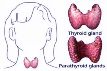 தைராய்டு பிரச்சனை இருக்கா? மறந்தும் இந்த உணவுகளை சாப்பிடாதீங்க