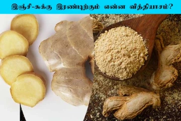 இஞ்சி, சுக்கு இரண்டிற்கும் என்ன வித்தியாசம்? பயன்கள் என்னென்ன?