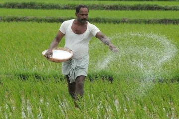 உரம் தொடர்பில் அரசாங்கம் வெளியிட்ட தகவல்