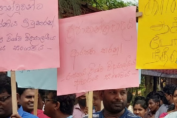 யாழ். பல்கலைக்கழகத்தின் விரிவுரையாளர்கள் கவனயீர்ப்பு போராட்டம் (படங்கள்) | Jaffna University Lecturers Are Protest For Crisis