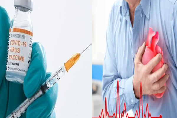 மாராடைப்புக்கு கொரோனா தடுப்பூசி காரணமா ? - விளக்கம் கொடுத்த மத்திய அரசு - தமிழ்நாடு