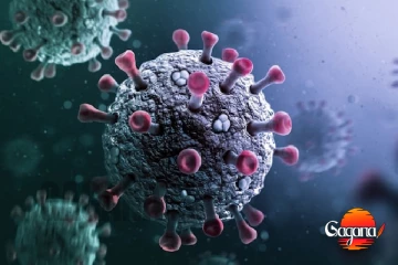 ලංකාවේ රෝහල් රැසකින් නව කොවිඩ් රෝගීන් හමුවේ..