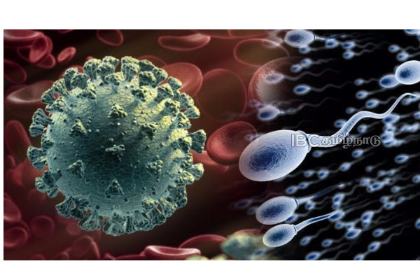 aiims-corona-virus-affected-sperm-quality-in-men