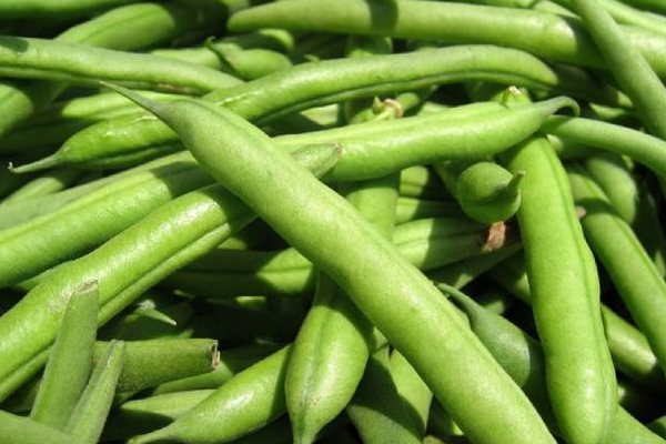 இலங்கையில் மரக்கறிகளின் விலைகள் சடுதியாக அதிகரிப்பு! | Sri Lanka Vegetables Price Have Increased Rapidly