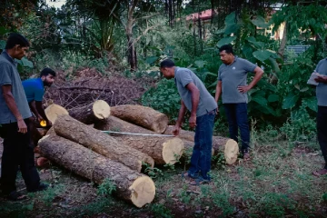 வவுனியாவில் மரக்கடத்தல் முயற்சி முறியடிப்பு (Photos)