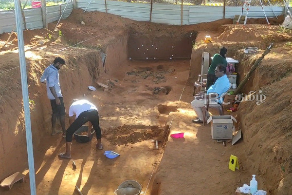 கொக்குதொடுவாய் மனிதப் புதைகுழி மீது நாளை சிறப்புச் சோதனை | Kokkuthoduvai Human Burial Ground 4Rd Day