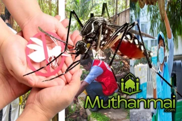 மட்டக்களப்பில் அதிகரிக்கும் டெங்கு நோயாளர்களின் எண்ணிக்கை..!