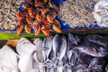 பேலியகொடை மீன் சந்தையில் குறைவடைந்துள்ள மீன்களின் விலை