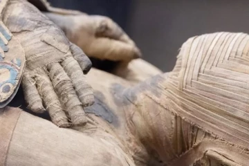 தோண்டும் போது வீட்டுக்குள் கேட்ட சத்தம்...வியந்து போன ஆராச்சியாளர்கள்