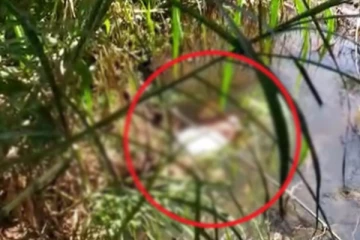 බෙහෙත් ගන්න රෝහලට ආ තිදරු පියාට දිවි අහිමි වූ අවාසනාවන්ත සිදුවීම..