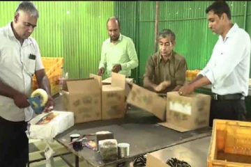 முற்றுகையிடப்பட்ட சட்டவிரோத டின்மீன் தொழிற்சாலை