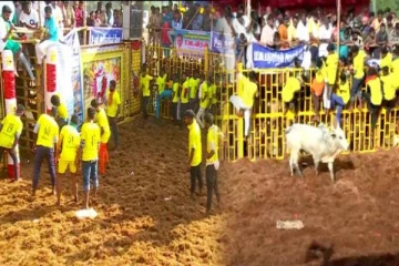 ஓசில ஓட்டை வாங்கிடாத...வீரர்களை எச்சரித்த ஜல்லிக்கட்டு வர்ணனையாளர்