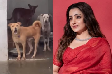நாய்களுக்கு பாதிப்பு.. வருத்தத்தில் த்ரிஷா! பதிவை ட்ரோல் செய்யும் நெட்டிசன்கள்