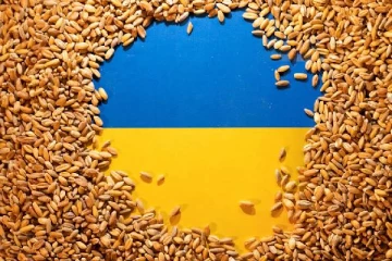 உக்ரைனில் இருந்து கடைசி தானிய கப்பலும் புறப்பட்டது... சிக்கலில் ஒப்பந்தம்: இறுகும் நெருக்கடி