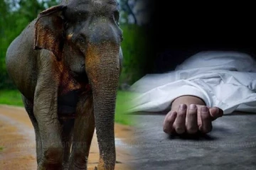 யானை தாக்கி இரு பிள்ளைகளின் தந்தை பலி