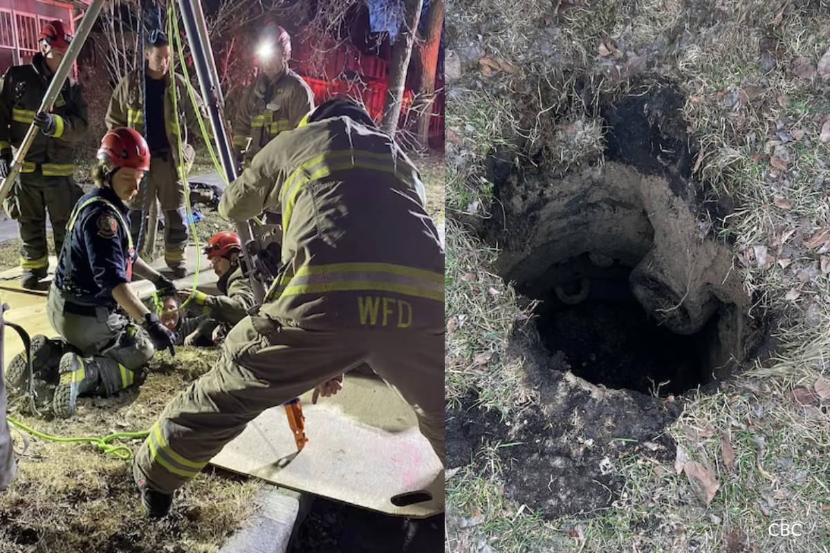 கனடாவில் பள்ளத்திற்குள் விழுந்த பெண்... துணை நின்ற அதிர்ஷ்டம் | Canadian Women Rescued Who Fells In Hole