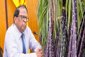 கரும்பு மீள்நடுகைத் திட்டம் மீண்டும் கிளிநொச்சியில் ஆரம்பம்