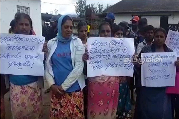 தனியார் மயமாக்கப்படும் என்.எல்.டி தேசிய பண்ணை: மக்கள் வெளியிட்டுள்ள எதிர்ப்பு | Nld National Farm To Be Privatized Public Protest