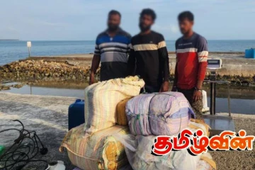 இந்தியாவில் இருந்து படகில் கடத்தி வரப்பட்ட பெருமளவான கஞ்சா! மூவர் கைது