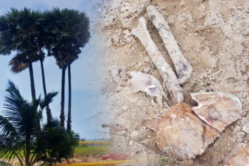 யாழ். அல்லைப்பிட்டியில் மீட்கப்பட்ட மனித எச்சங்கள் (Photos)