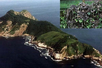 உயிரை காவு வாங்கும் மர்ம தீவு: தீவிற்குள் நிகழும் மர்மம் தான் என்ன?