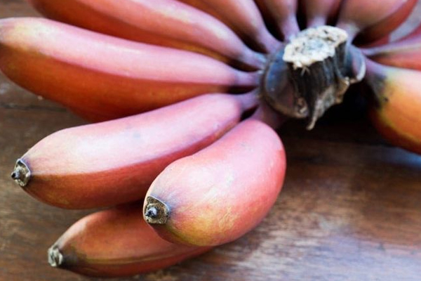 செவ்வாழையில் இத்தனை நன்மையா? | Benefits Of Redbanana