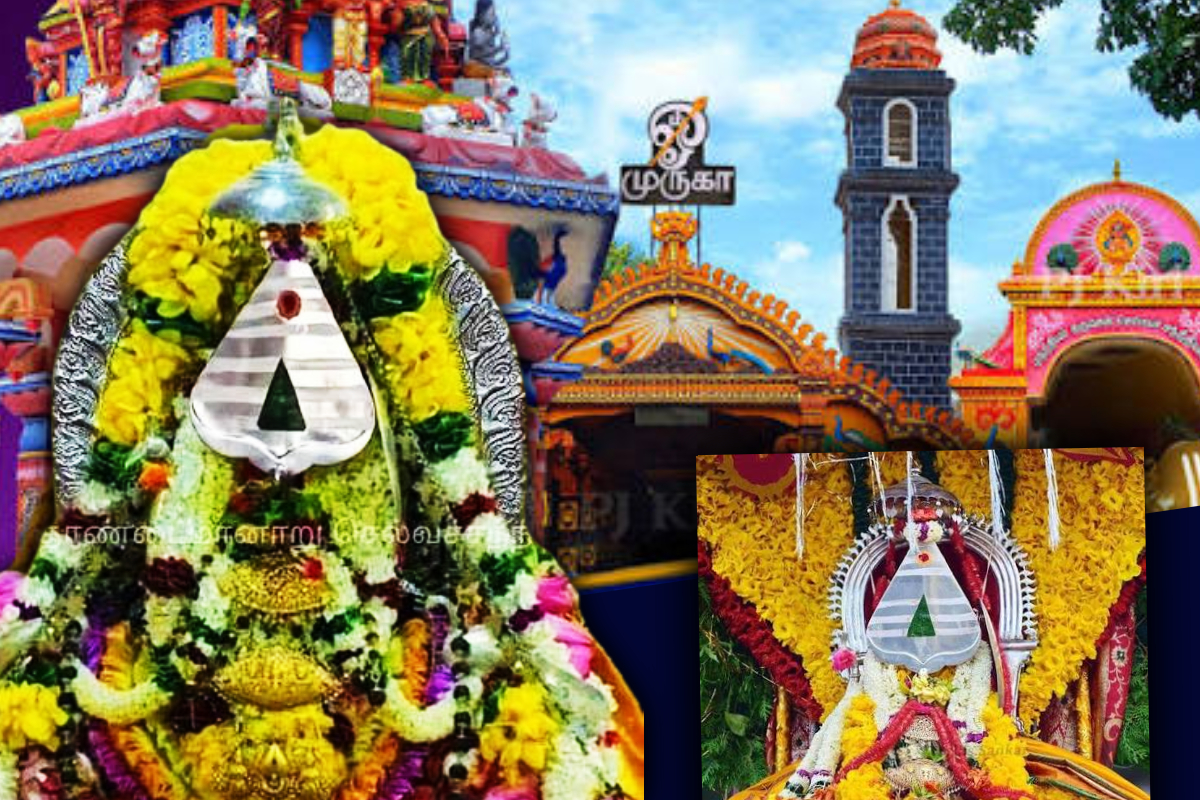 வரலாற்றுச் சிறப்புமிக்க செல்வச் சந்நிதியான் கொடியேற்றம்