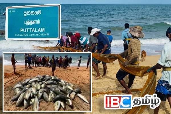 புத்தளம் கடற்றொழிலாளர்களுக்கு கிடைத்த கோடிக்கணக்கான அதிர்ஷ்டம்