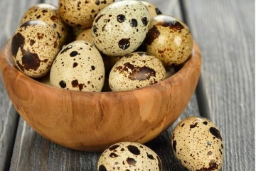 எண்ணற்ற நன்மைகளை அள்ளிக் கொடுக்கும் காடை முட்டை! யார் யாரெல்லாம் சாப்பிடலாம் தெரியுமா?