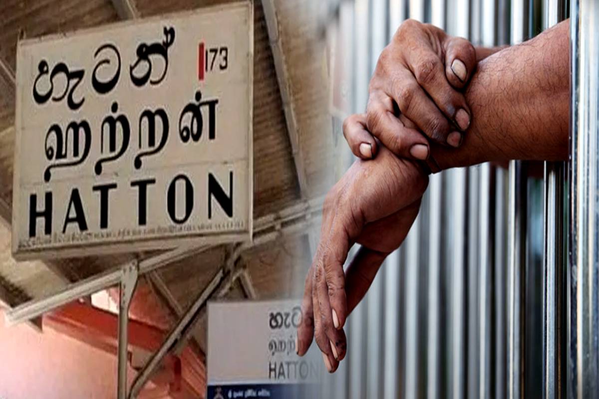 ஹட்டனில் சட்டவிரோதமாக மரப்பலகை கடத்தியவர்கள் கைது- பொலிஸார் தீவிர சோதனை! | Illegal Timber Smugglers Arrested In Hatton