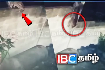 வீட்டிற்கே வந்து செல்லும் சிறுத்தை! அச்சத்தில் பிரதேச மக்கள்