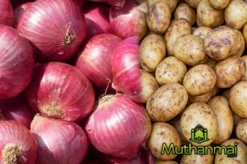 இறக்குமதி செய்யப்படும் இரண்டு உணவுப் பொருட்களுக்கு வரி!