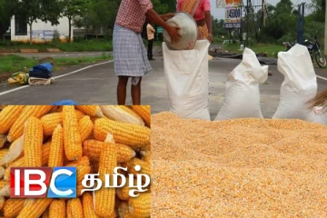 புத்தாண்டுடன் இறக்குமதியாகப்போகும் பொருள் : கிடைத்தது அனுமதி