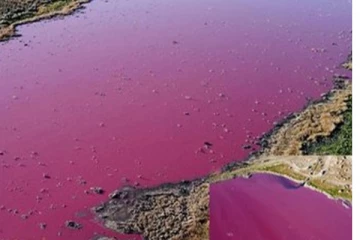 அதிர்ச்சி சம்பவம்.. திடீரென்று இளஞ்சிவப்பு நிறத்தில் காட்சியளித்த ஏரிகள்! குழப்பத்தில் ஆய்வாளர்கள்..